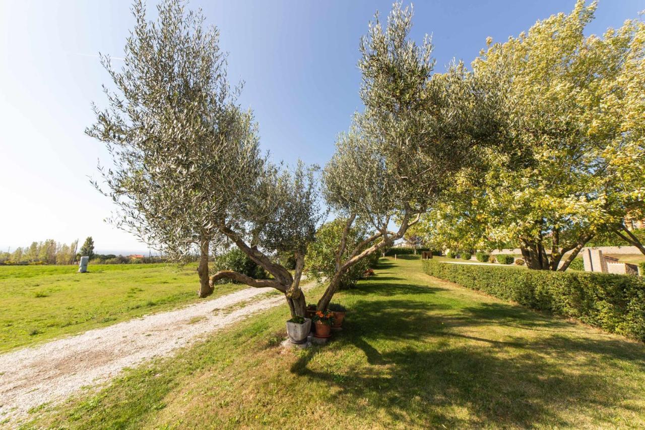 Agriturismo Bella Cima 蒙蒂菲阿斯科尼 外观 照片